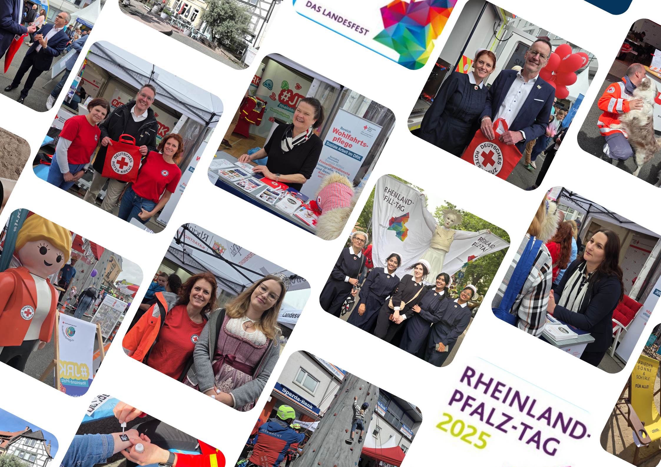 rlp-tag-fuer-homepage