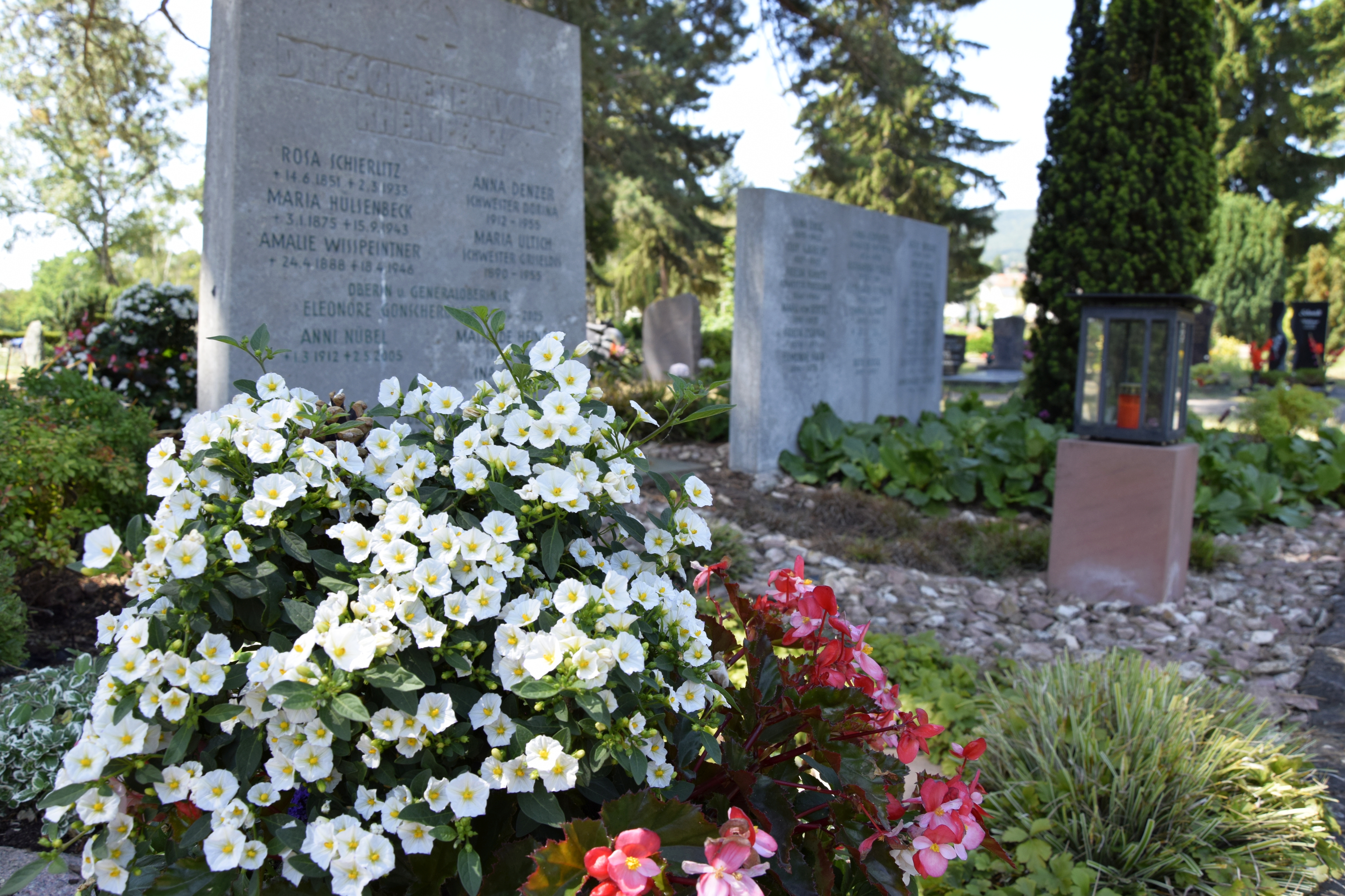 Das Schwesterngrab der Rotkreuzschwestern der DRK Schwesternschaft Rheinpfalz-Saar e.V. in Neustadt an der Weinstraße.